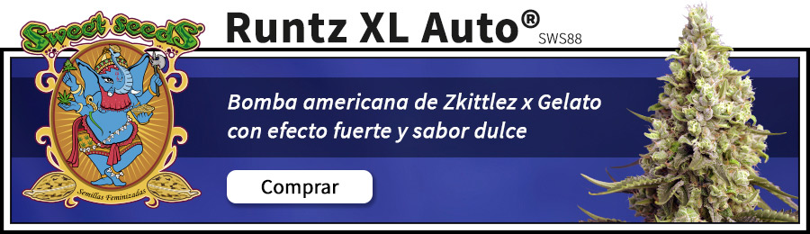 Novedades